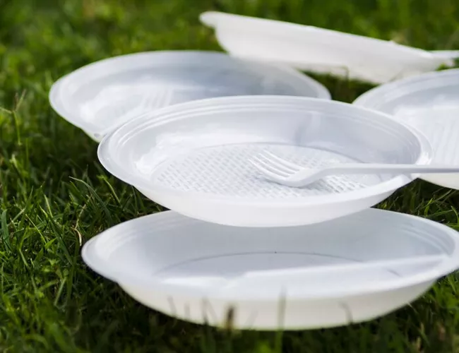 Biodegradable plastic